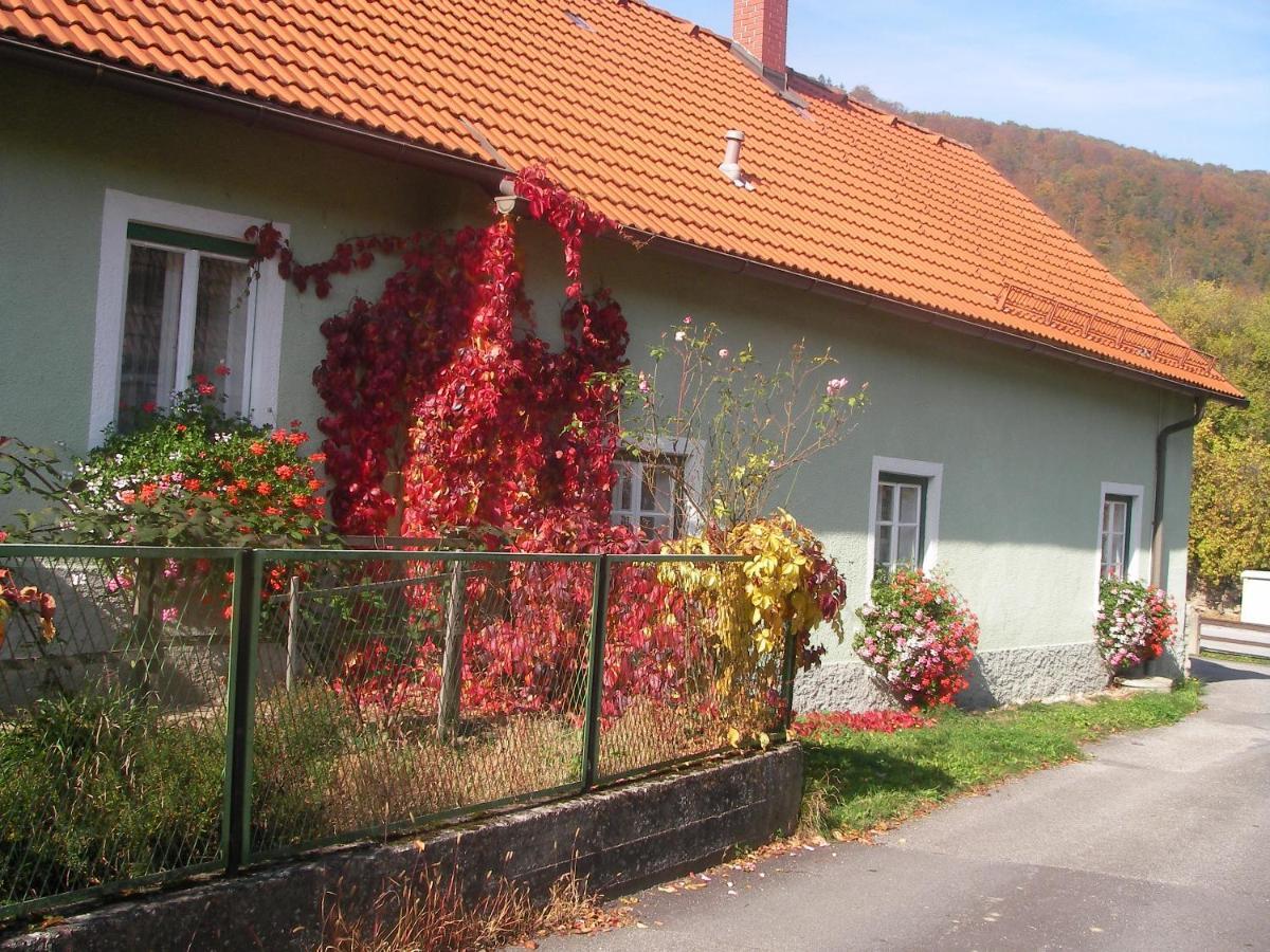 Appartamento Haus Gerstbauer Aggsbach Esterno foto